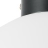Люстра потолочная Lightstar 812037 Globo под лампу 1xE14 40W
