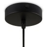 Подвесной светильник с 1 плафоном Freya FR5188PL-01B Jiffy под лампу 1xE27 60W