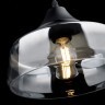 Подвесной светильник с 1 плафоном Freya FR5188PL-01B Jiffy под лампу 1xE27 60W