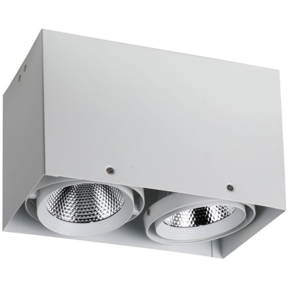 1986-2U, потолочный светильник, L265xW140xH160, COB 2xLEDx12W, RA>80, BEAM ANGLE:24°, 1920LM, 4000K, included