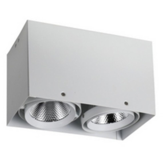 1986-2U, потолочный светильник, L265xW140xH160, COB 2xLEDx12W, RA>80, BEAM ANGLE:24°, 1920LM, 4000K, included