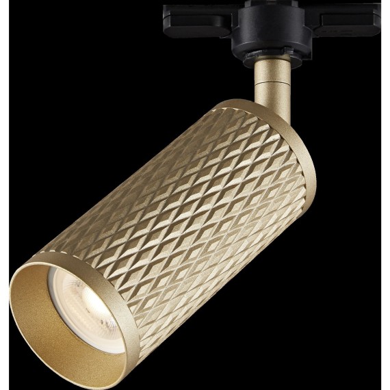 Однофазный двужильный трековый светильник Maytoni Unity TR011-1-GU10-G Focus Design под сменную лампу GU10