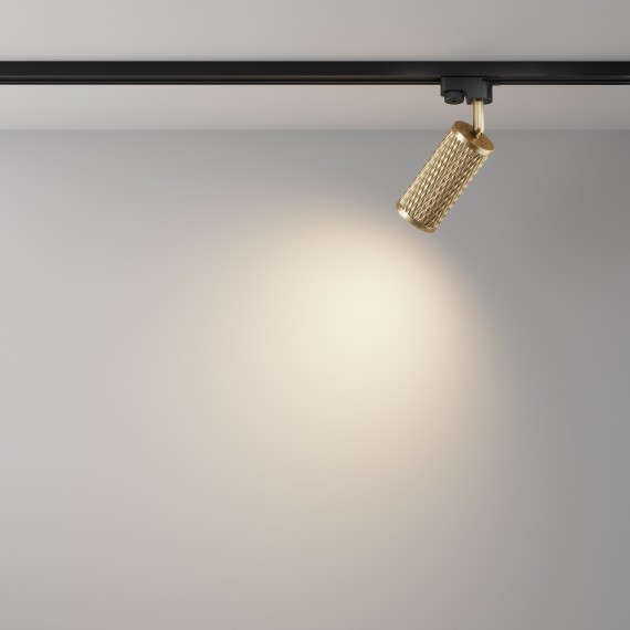 Однофазный двужильный трековый светильник Maytoni Unity TR011-1-GU10-G Focus Design под сменную лампу GU10