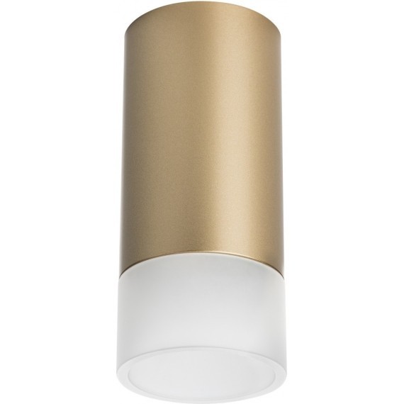 Накладной потолочный светильник Lightstar R44031 RULLO под лампу 1xGU10 50W