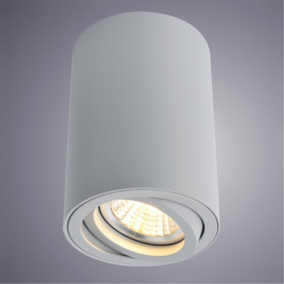 Точечный накладной светильник Arte Lamp SENTRY A1560PL-1GY