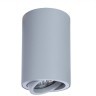 Точечный накладной светильник Arte Lamp SENTRY A1560PL-1GY