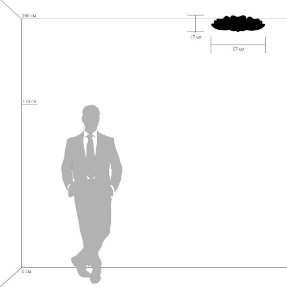 Люстра потолочная Lightstar 804020 Lobo под лампы 6xG9 240W