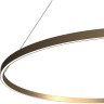 Подвесной тонкий светильник в виде кольца из латуни от Maytoni Rim MOD058PL-L65BS3K