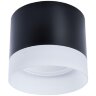 Накладной потолочный светильник Arte Lamp A5554PL-1BK CASTOR под лампу 1xGX53 15W