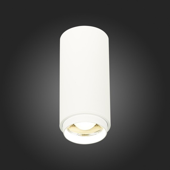 ST600.542.10 Светильник потолочный Zoom Белый LED 1*10W 4000K 1 000Lm Ra80 15-60° IP20 D59xH130 170 Накладные светильники