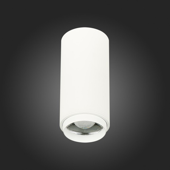 ST600.542.10 Светильник потолочный Zoom Белый LED 1*10W 4000K 1 000Lm Ra80 15-60° IP20 D59xH130 170 Накладные светильники