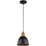 Подвесной светильник с 1 плафоном Arte Lamp A4245SP-1BK EURICA под лампу 1xE27 60W