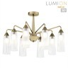 Люстра потолочная E14 Lumion DOLIANA 6584/8C