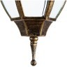 Уличный подвесной светильник Arte Lamp A3151SO-1BN PEGASUS IP44 под лампу 1xE27 60W