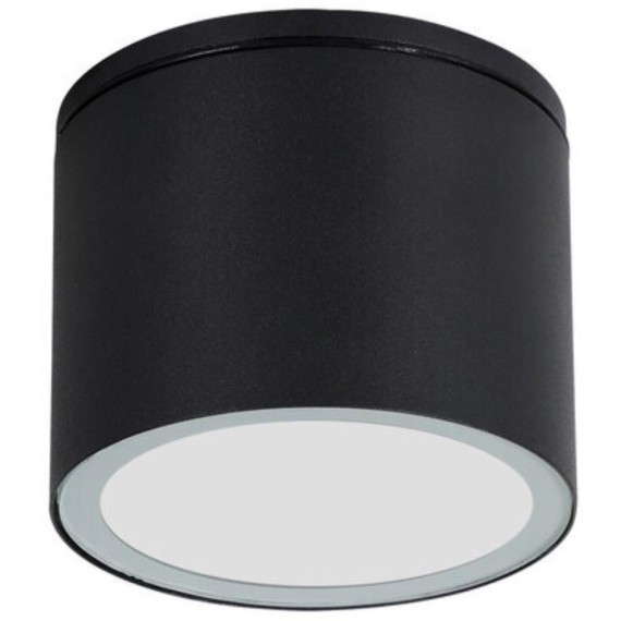 Уличный потолочный светильник Arte Lamp PIAUTOS A1913PF-1BK