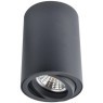 Накладной потолочный светильник Arte Lamp A1560PL-1BK SENTRY под лампу 1xGU10 50W
