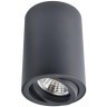 Накладной потолочный светильник Arte Lamp A1560PL-1BK SENTRY под лампу 1xGU10 50W