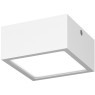 Уличный потолочный светильник Lightstar 380264 Zolla IP65 светодиодный LED 80W