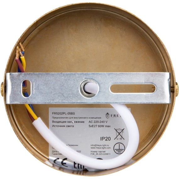 Люстра на штанге Freya FR5202PL-05BS Camelia под лампы 5xE27 60W