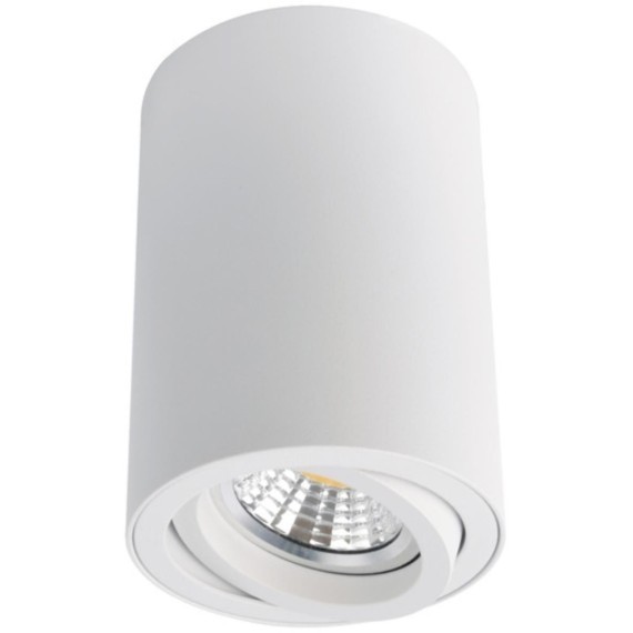Накладной потолочный светильник Arte Lamp A1560PL-1WH SENTRY под лампу 1xGU10 50W