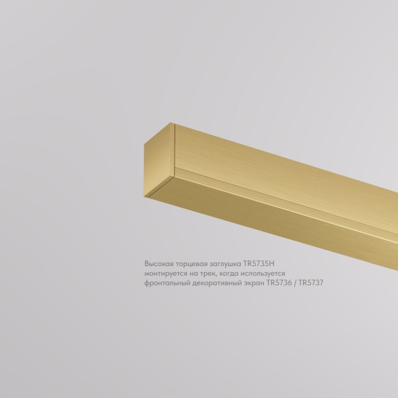 TR5735H-SB Торцевые заглушки 2шт (при монтаже с экраном) Denkirs Shine 48V