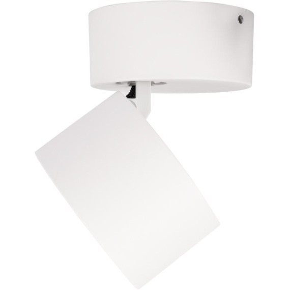 10323/A White Накладной светильник LOFT IT Focus