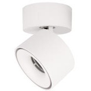 10323/A White Накладной светильник LOFT IT Focus