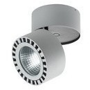 Накладной потолочный светильник Lightstar 381393 Forte IP65 светодиодный LED 350W