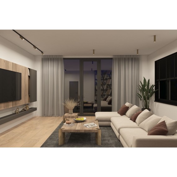 Однофазный двужильный трековый светильник Denkirs DK6202-BG Tube под сменную лампу GU10