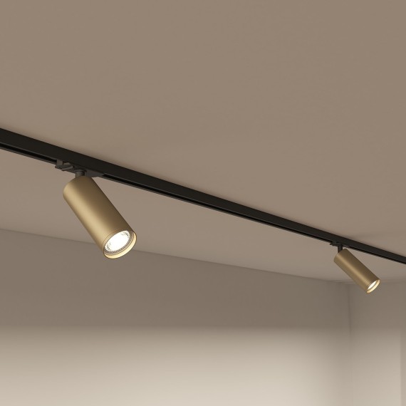 Однофазный двужильный трековый светильник Denkirs DK6202-BG Tube под сменную лампу GU10