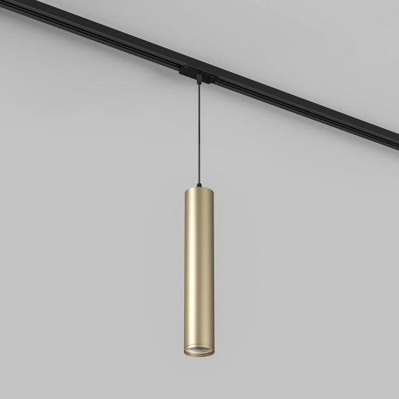 Однофазный двужильный трековый светильник Denkirs DK6210-BG Tube под сменную лампу GU10