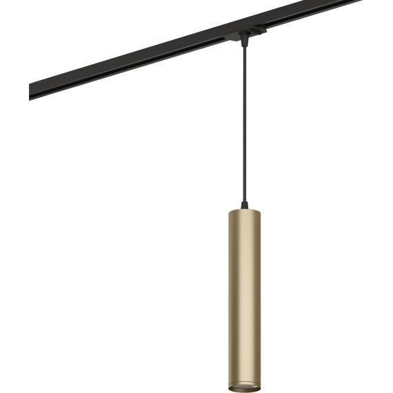 Однофазный двужильный трековый светильник Denkirs DK6210-BG Tube под сменную лампу GU10