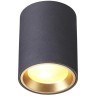 Уличный потолочный светильник Odeon Light 4205/1C AQUANA под лампу 1xGU10 50W