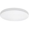 Настенно-потолочный светильник Lightstar 225204 ARCO IP44 светодиодный LED 200W