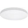 Настенно-потолочный светильник Lightstar 225204 ARCO IP44 светодиодный LED 200W