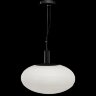 Подвесной светильник Maytoni P062PL-01W