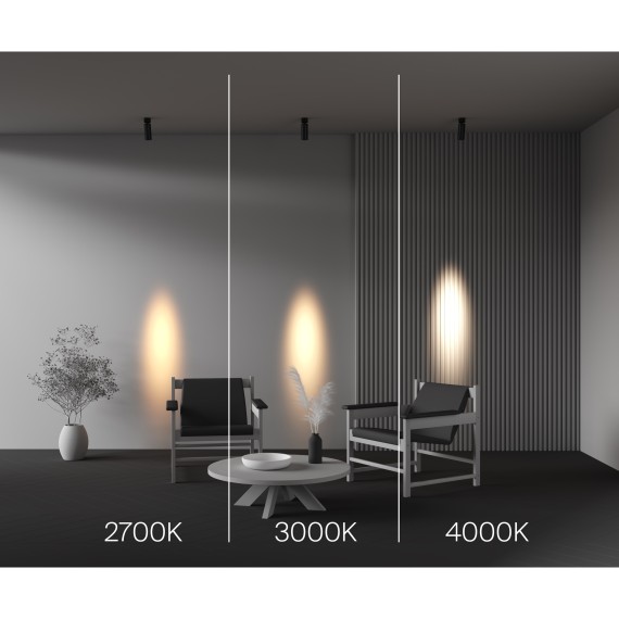 Потолочный светильник Technical C055CL-L12W3K-SS-B