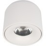 10219 White 4000K Потолочный светильник LOFT IT Tictac