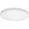 Настенно-потолочный светильник Lightstar 225264 ARCO IP44 светодиодный LED 26W