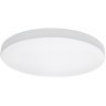 Настенно-потолочный светильник Lightstar 225264 ARCO IP44 светодиодный LED 26W