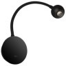 10254 Black Настенный светильник LOFT IT Point