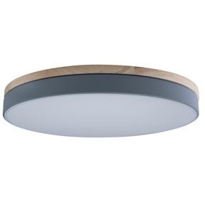 10001/36 Grey Потолочный светильник LOFT IT Axel