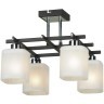 Люстра потолочная Lussole LSL-9007-04 COSTANZO IP21 под лампы 4xE14 160W