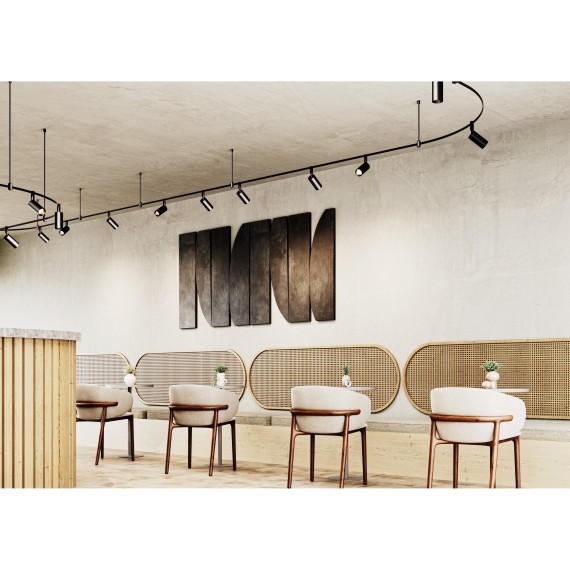 Светильник на гибкий шинопровод Maytoni Flexity TR201-1-15W3K-M-BBS 3000K 1100лм 15Вт