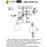 Потолочная люстра Pisticci OML-55307-02