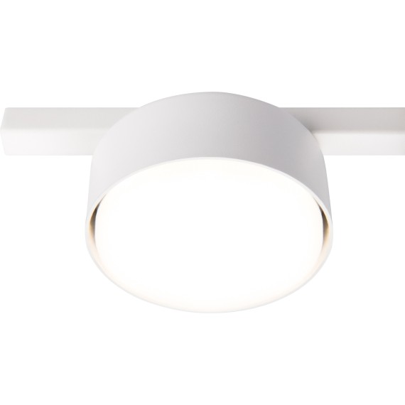 Потолочный светильник Freya FR5363CL-01W