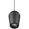 10357/1 Подвесной светильник LOFT IT Blackout