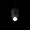 10357/1 Подвесной светильник LOFT IT Blackout