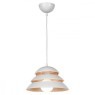 Подвесной светильник с 1 плафоном Lussole GRLSP-8130 BEIJING IP21 под лампу 1xE27 10W