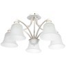 Потолочная люстра Arte Lamp EMMA A2713PL-5WG